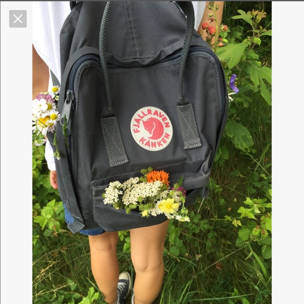 🌻ISO!! In search of a cheap kanken🌻 - Picture 3 of 3